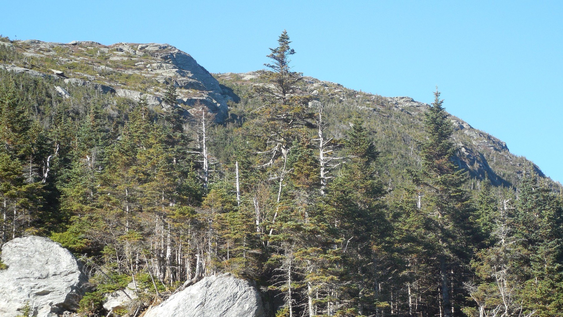 Mount Mansfield and the Green Mountains under autumn light