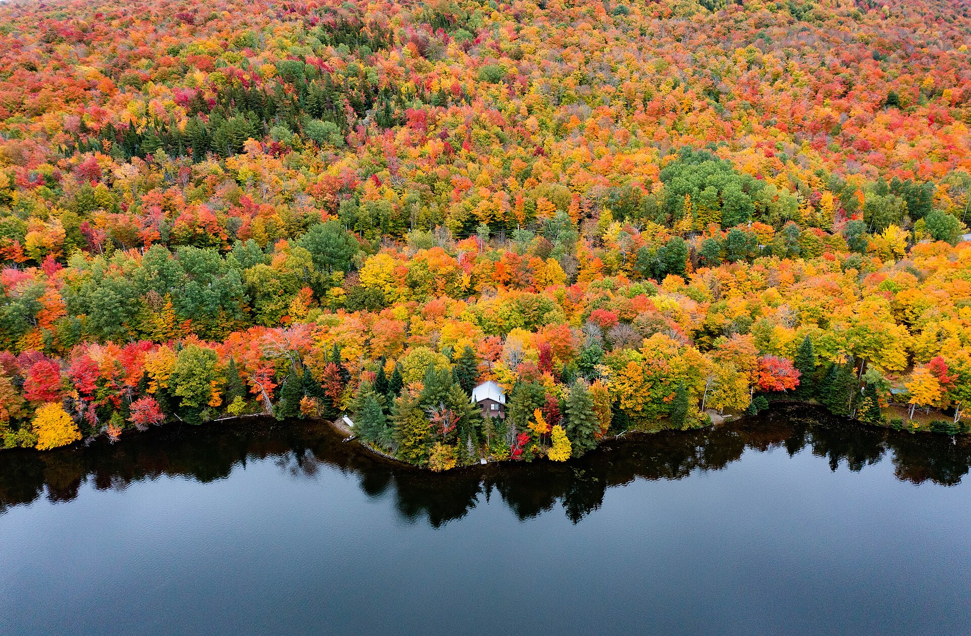 Fall foliage along a pond in the Northeast Kingdom
