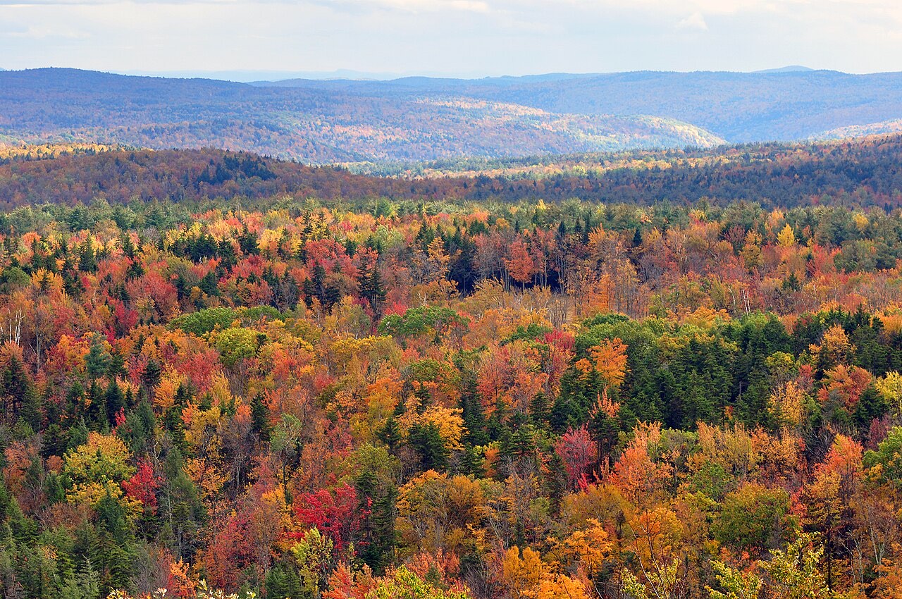 Hillsides of scarlet and gold fall foliage in Vermont