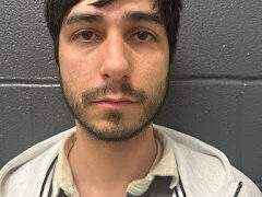 Jericho man arrested for domestic assault and resisting arrest, police say