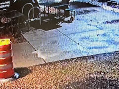 Grand larceny investigation underway in Charlotte, police say