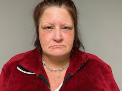 New Haven woman cited for domestic assault, police say