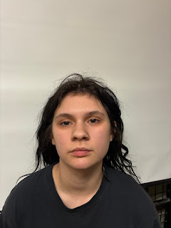 Pownal woman charged with stalking in Shaftsbury, police say