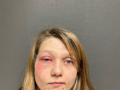 Lowell woman arrested for assaulting officer, resisting arrest, police say
