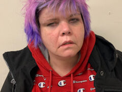 Barnet police apprehend suspect in stolen vehicle pursuit, police say