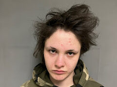 Richford woman cited for petit larceny after theft report, police say
