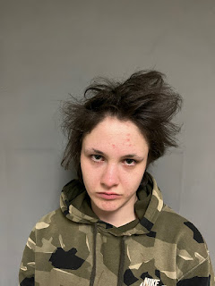 Richford woman cited for petit larceny after theft report, police say