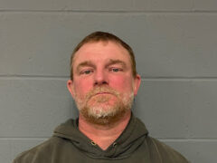 Brookline man cited for unlawful mischief, police say