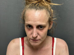 Claremont woman arrested for aggravated domestic assault in Holland, police say