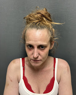 Claremont woman arrested for aggravated domestic assault in Holland, police say