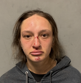 Rutland woman arrested for assault and robbery in Poultney, police say