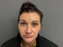 Newbury woman arrested for burglary and petit larceny, police say