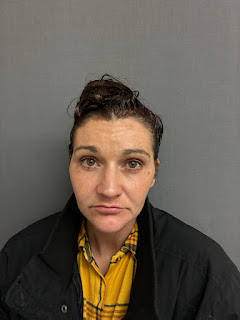 Newbury woman arrested for burglary and petit larceny, police say
