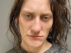 Troy woman arrested on warrant for multiple offenses, police say