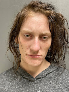 Troy woman arrested on warrant for multiple offenses, police say