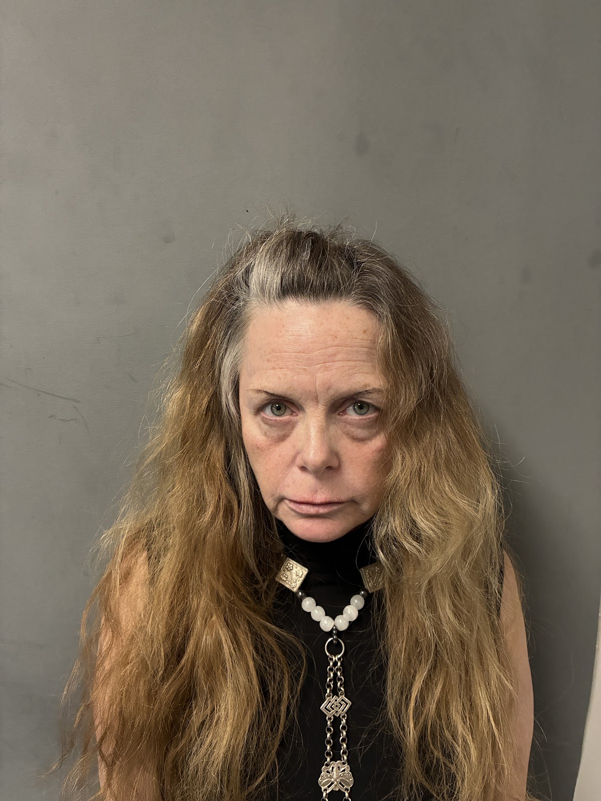 Mendon woman arrested for unlawful trespass and assault, police say