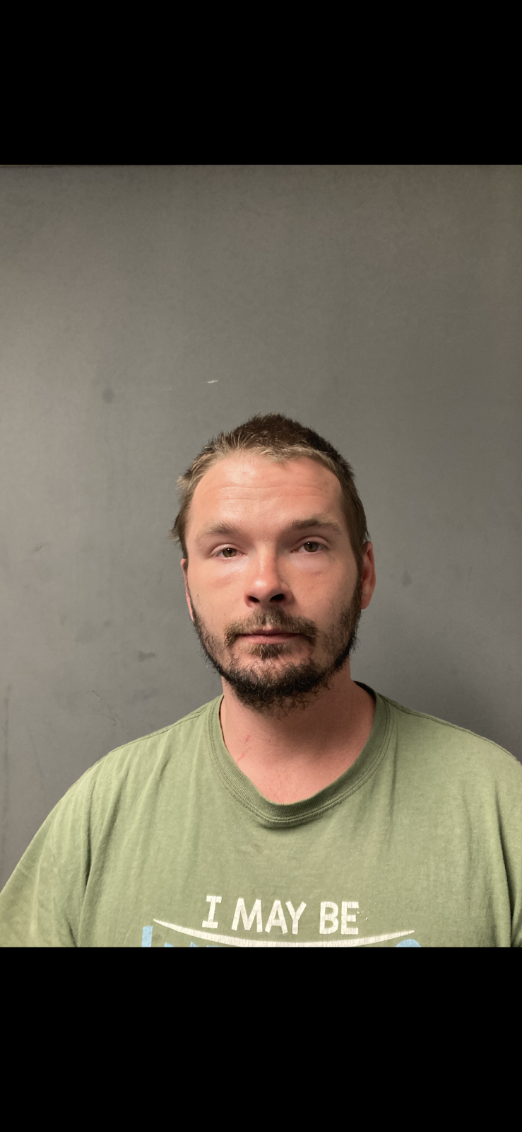 Danby man arrested for domestic assault, police say