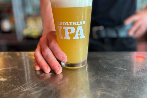 Fiddlehead Fridays at The Daily Planet