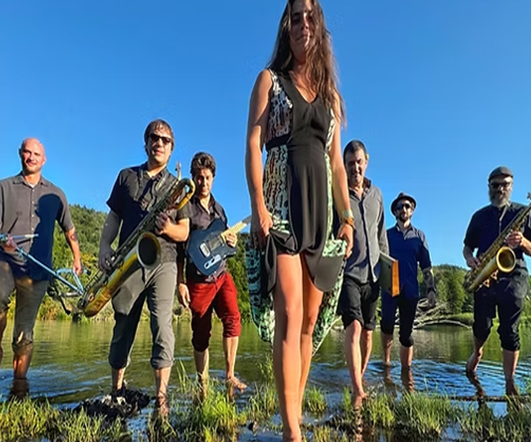 Twilight Series: High Summer with Moondogs