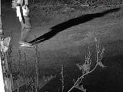 Multiple vehicles stolen in Randolph, VT, investigation ongoing, police say