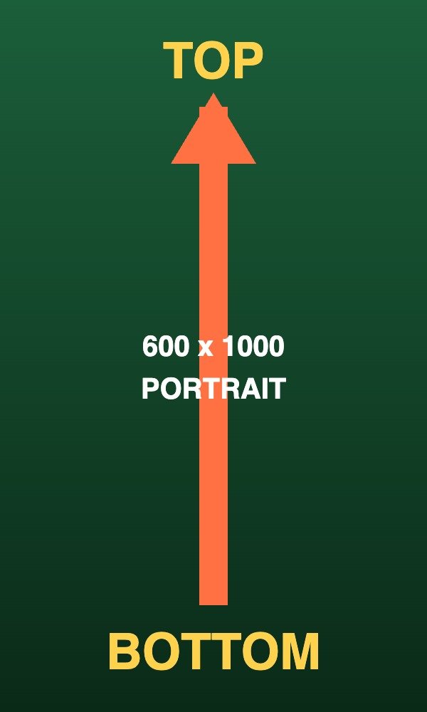 A vertical test shot to verify portrait photos display upright and tall.