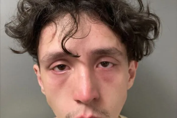 Dorset man arrested for domestic assault and other charges, police say