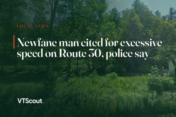 Newfane man cited for excessive speed on Route 30, police say — street view of VT-30 in Newfane