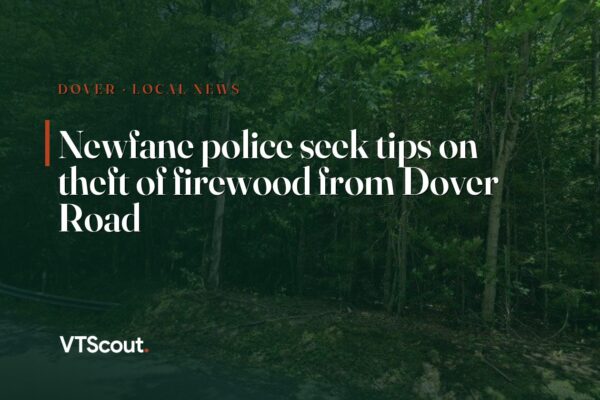 Newfane police seek tips on theft of firewood from Dover Road — street view of Dover