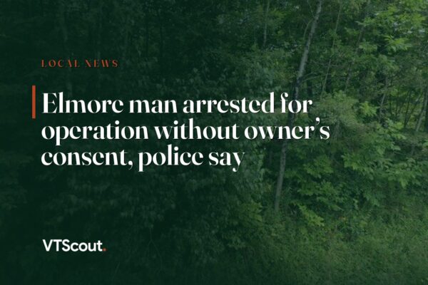Elmore man arrested for operation without owner’s consent, police say — street view of Elmore