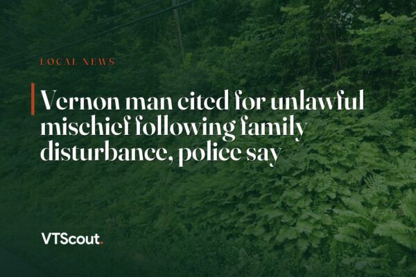 Vernon man cited for unlawful mischief following family disturbance, police say — street view of Vernon
