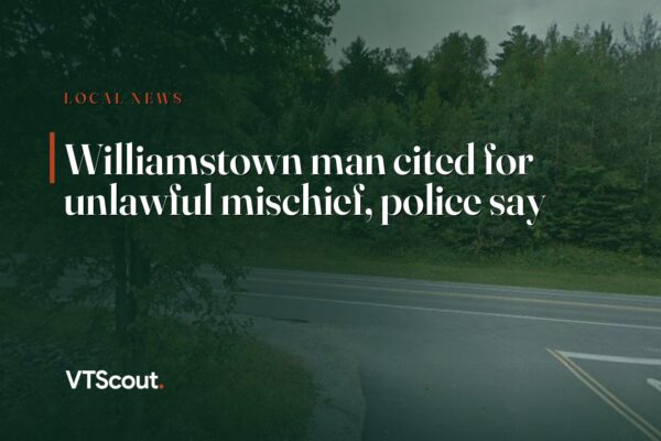 Williamstown man cited for unlawful mischief, police say — street view of Williamstown