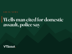 Wells man cited for domestic assault, police say