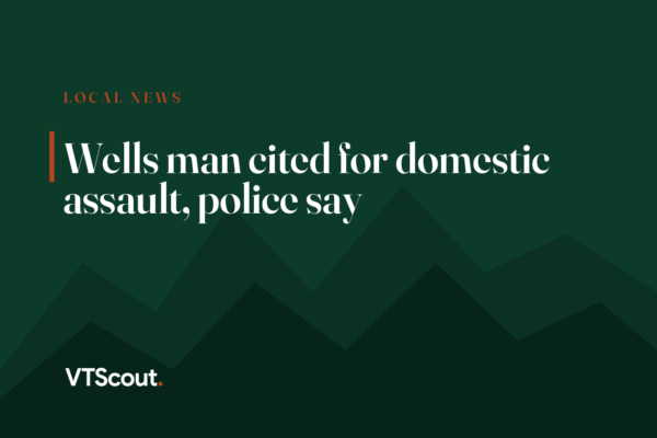Wells man cited for domestic assault, police say
