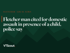 Fletcher man cited for domestic assault in presence of a child, police say
