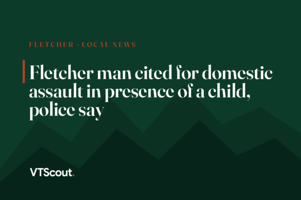 Fletcher man cited for domestic assault in presence of a child, police say