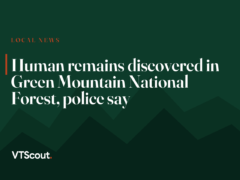 Human remains discovered in Green Mountain National Forest, police say